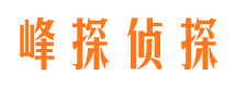 尼木市婚外情调查